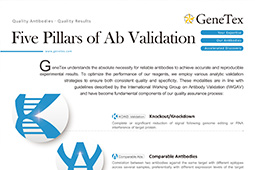 Five pillars validation